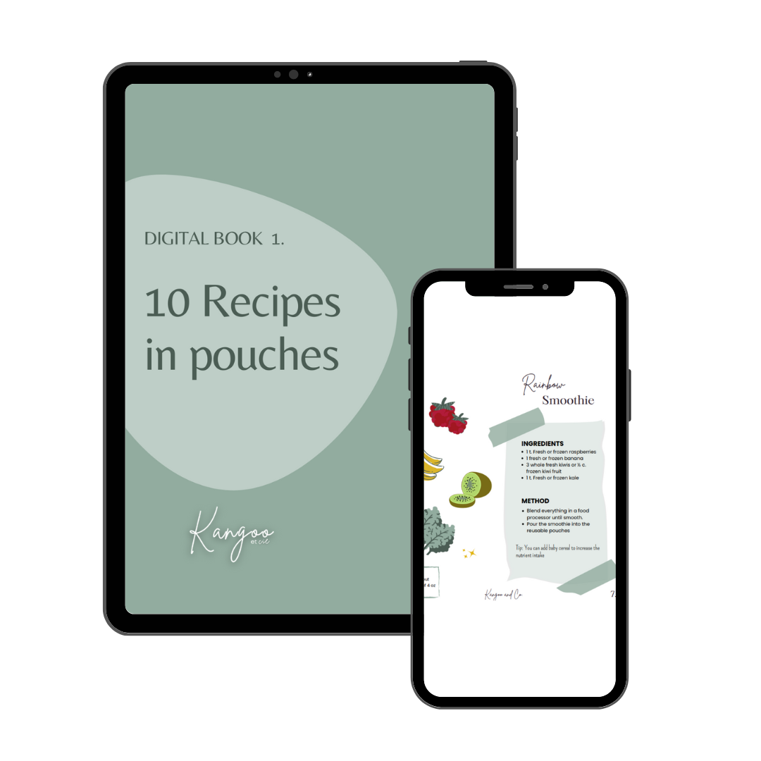Digital book - 10 food pouches recipes
