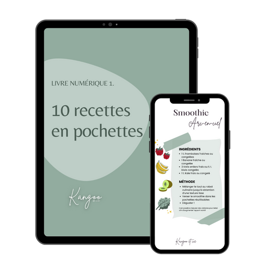 Digital book - 10 food pouches recipes